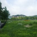 과천청사역 6번 출구 이미지