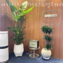 광교초등학교 | 이의동 필라테스 아다지오 필라테스&amp;잇츠바레 광교점 위치.가격.시간.후기