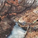 송림천 이미지