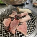 팔팔껍데기속초점 이미지