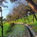 다라국황금이야기길 이미지