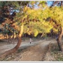 장머리방 이미지