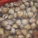 바담채 민박 이미지