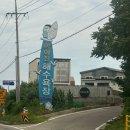 바다비행사 | 강원도 고성 1박2일 교암리해수욕장 스노쿨링 물고기,성게 / 고성 바다비행사 숙소후기 백도수산가리비