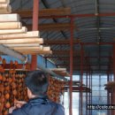 천지농원 이미지