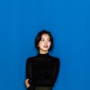 디솔루션스 이미지