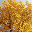 웰부동산중개사무소 이미지