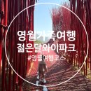 (영월가족여행) 영월 가볼만한곳 추천, 젊은달 와이파크 방문 후기
