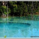 푸른농장2 이미지