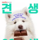 견생공감 서울경제