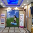 멀티스포렉스
