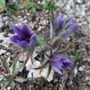 할미올농장 이미지