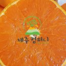 달달한제주