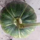 선산이용소 이미지