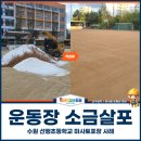 선행초등학교 이미지