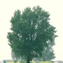 들녘목장 이미지