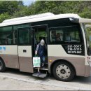 제354차(08/13/23) 산행결과 보고 : 양산 배내골 선리 솔밭 이미지