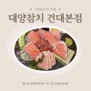 건대 참치 무한리필 ‘대양참치’ - VIP 사시미 먹은 간단 후기