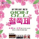 영인초등학교 | 2024 제2회 아산 영인산 철쭉제 후기