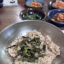 몽돌쉼터 | 차박의 계절 : 경주 읍천항 &amp; 나아해변 + 울산 주전몽돌해변 (맛집&amp;카페)