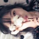 안녕바다 - 고성군 천학정길 65-1 | 안녕바다