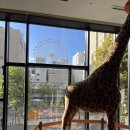 명동건어물 | 10월 삿포로 5일차 | 니조시장, 스시로 파르코점, 신치토세 공항 면세점 닷사이23, 홋카이도 기념품 후기