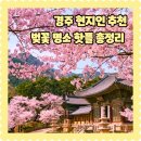 와동구판장 화장실 | 4월 경주여행 경주현지인이 알려주는 경주의 벚꽃명소