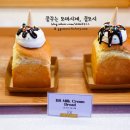 BB하우스 이미지