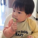 칠복이네돈까스 네이버블로그