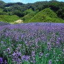 이승현농장 이미지