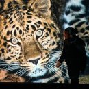 나는숲이다 이미지