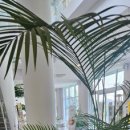 Most 417(모스트417) | 안성대형카페 노을맛집 모스트417 타타스베이글 오픈런한 후기! 포토스팟 많고 브런치 맛있는 원곡카페