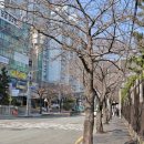 예가스크린골프 이미지