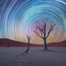 세계의 명소와 풍물 99 나미비아, 나미브사막의 데드블레이 (Deadvlei) 이미지