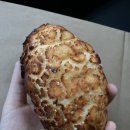 팡파미유송탄점 | [리뷰] 송탄 팡파미유 : 내가 좋아하는 추천빵집🍞 / 서정리역 빵의성지