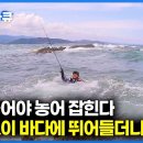 바람 불어야 농어 이미지
