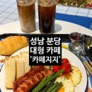 벌말로50번길 | [성남] 애견 동반, 가족 모임으로 좋은 분당카페 '카페지지' 후기