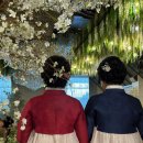 이가경전통한복 이미지