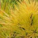 서주농장 이미지