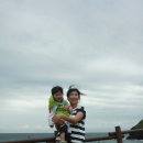 흙돼지팡