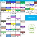 |건대 요가| 아메리카요가 건대점 : 요가로 운동 효과 100% 느낄 수 있는 곳🤸(빈야사 베이직 후기)