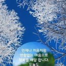 아름다운 꽃도 같은 종류 만 모이면 질린다. 이미지