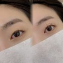 마곡나루 자연스러운 속눈썹펌 @와이오브로우 후기
