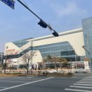 진로제로슈거