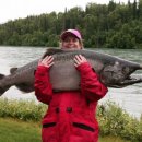 알래스카 케나이강에서 잡은 63파운드 짜리 왕연어 이미지