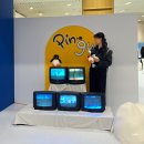 2024년 11월 일상 기록
