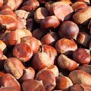 황율농장 이미지