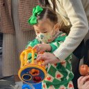 하마터어린이공원 이미지