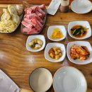 문학더샤브 이미지