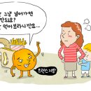 국민트랜스 이미지
